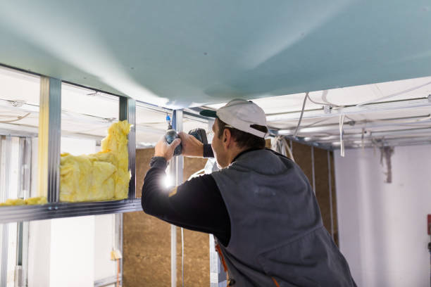 Best Local Insulation Services  in Wauwatosa, WI